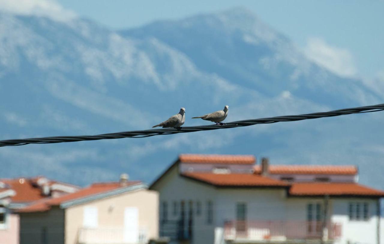 Apartments Ukic Kaštela Εξωτερικό φωτογραφία